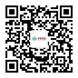 中财内控（北京）科技有限公司